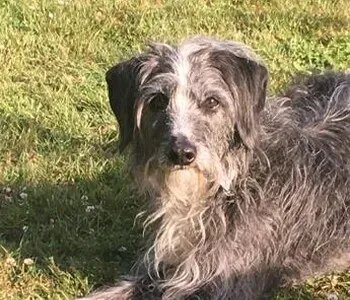 Porträt von Max (Mecklenburgische Versicherung) Porträt von Max (Mecklenburgische Versicherung)