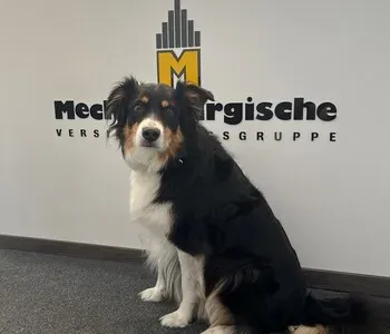 Porträt von Cara (Mecklenburgische Versicherung) Porträt von Cara (Mecklenburgische Versicherung)